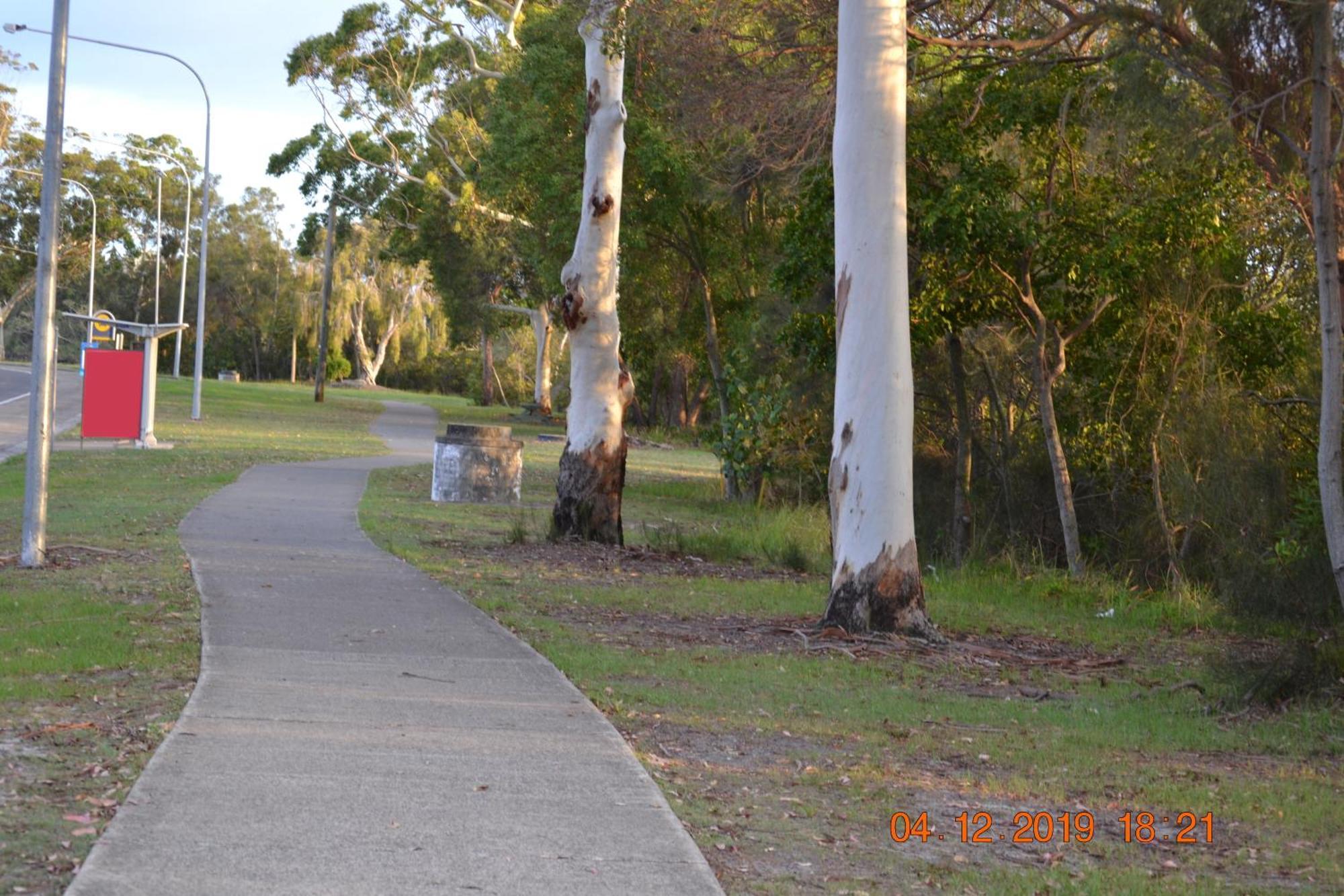 Calico Court Motel Tweed Heads Buitenkant foto